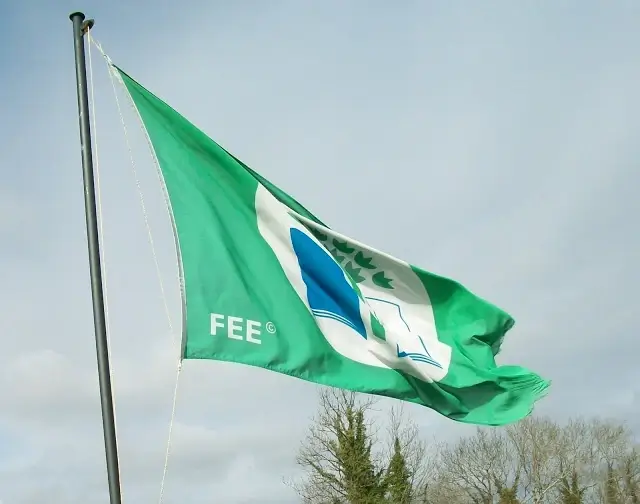 Green flag