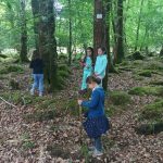 rimage_6483441b